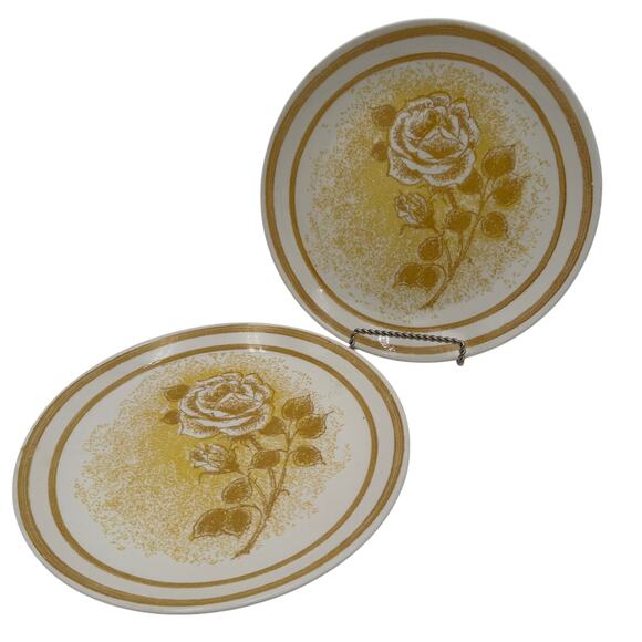Vintage Dinner Plates in Royal Rose by Royal China 10" Set of 2 - Picture 1 of 7
